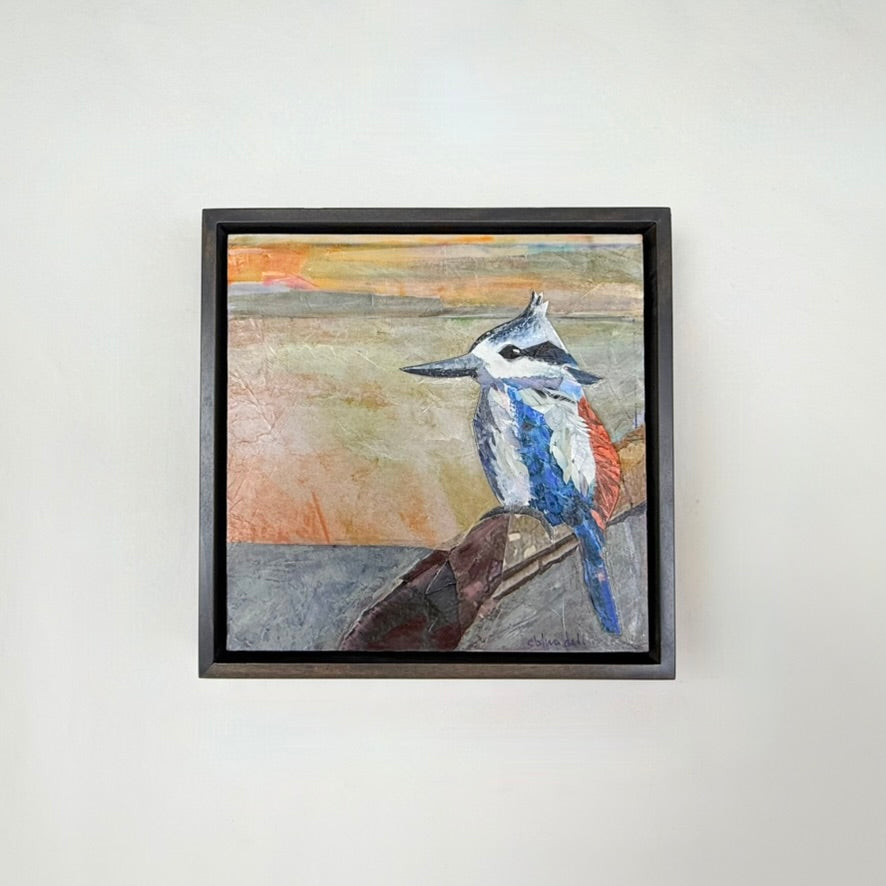 Red-Backed Kingfisher