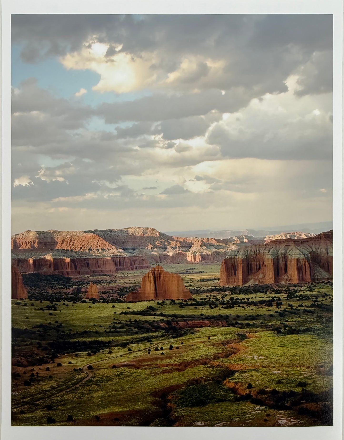 Unframed Photography Prints