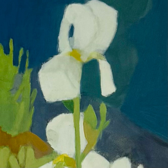 White Iris
