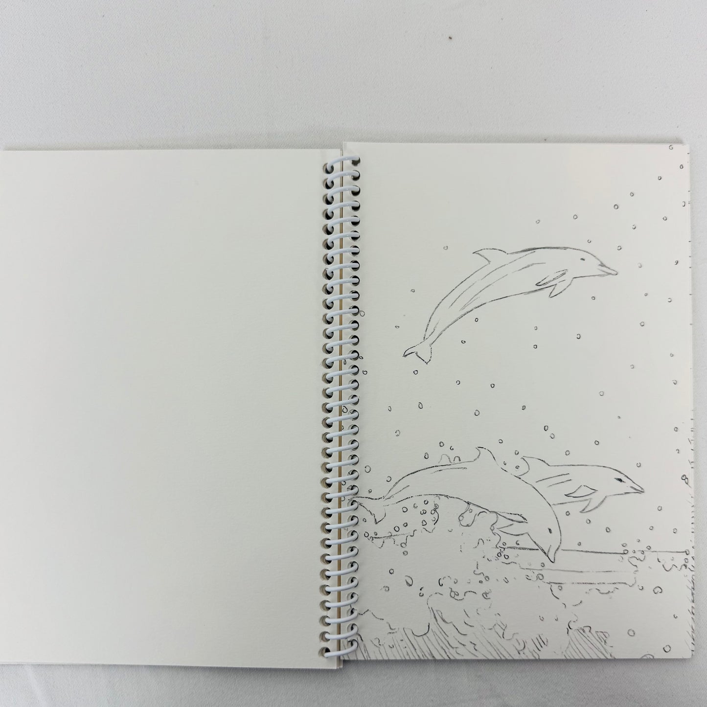 Beach Days Painting Book