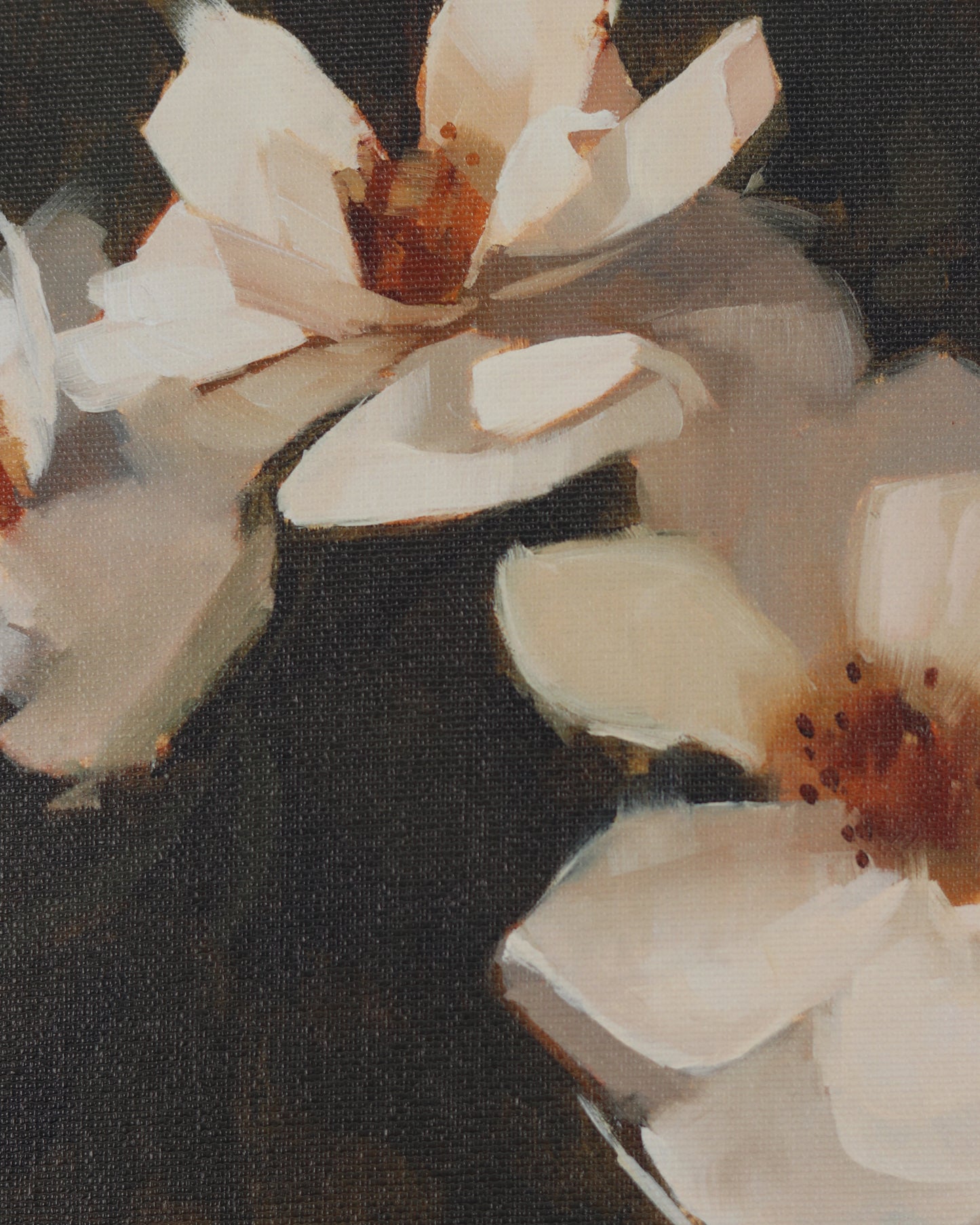 White Blossom Print