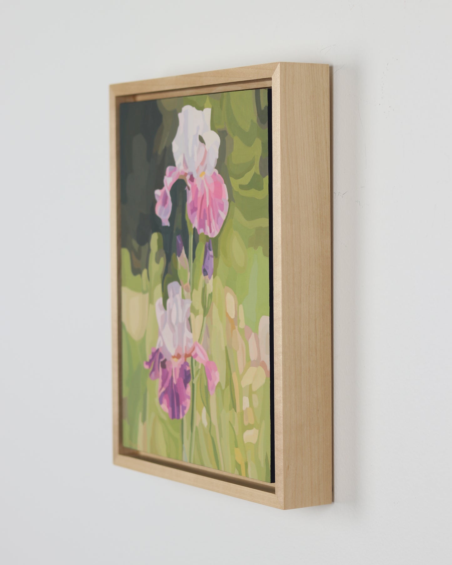 Irises in Bloom