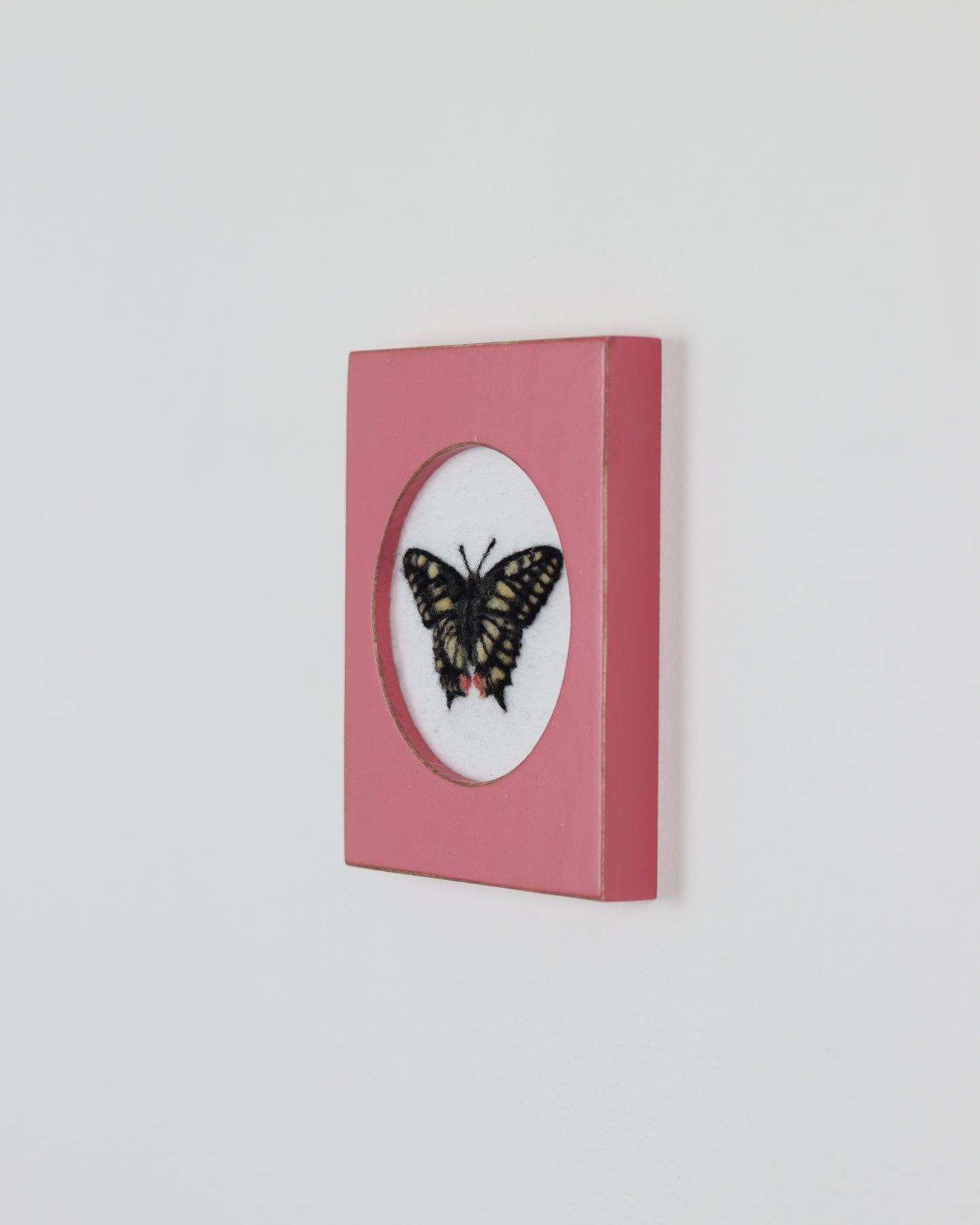 Old World Swallowtail