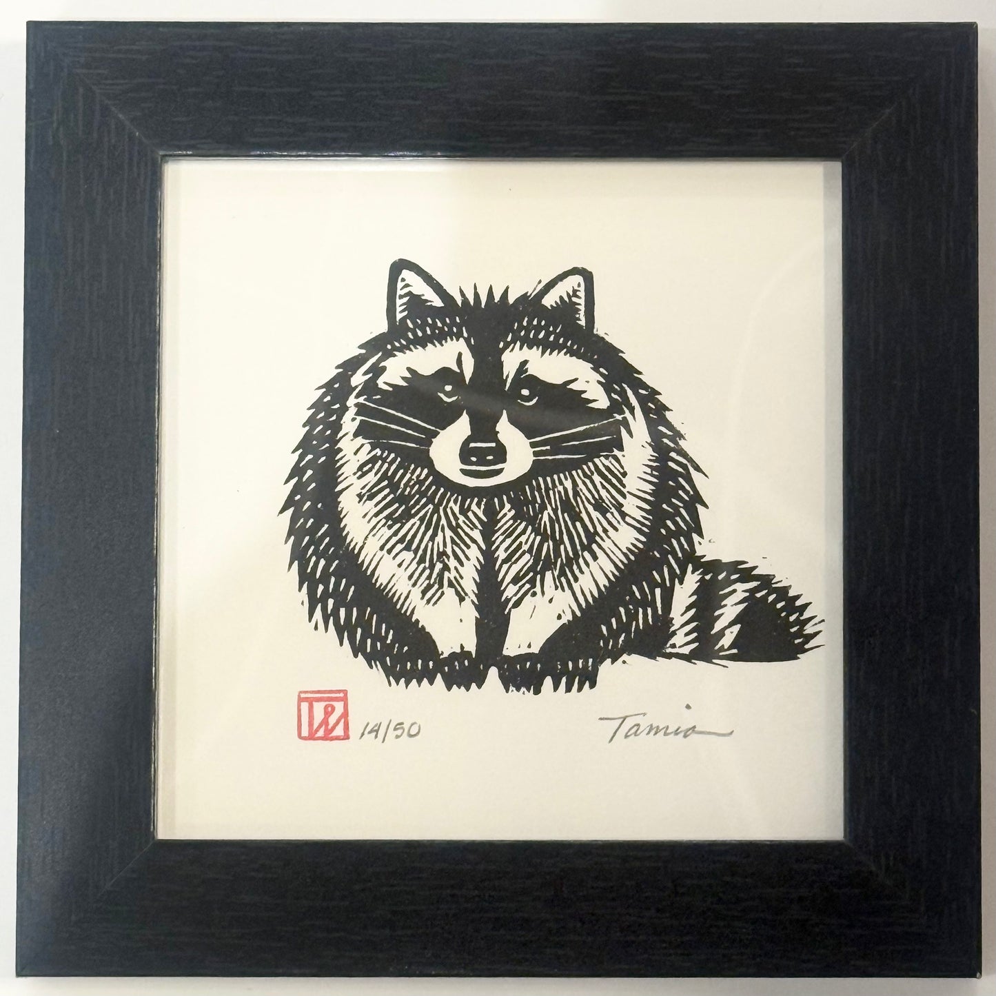Raccoon