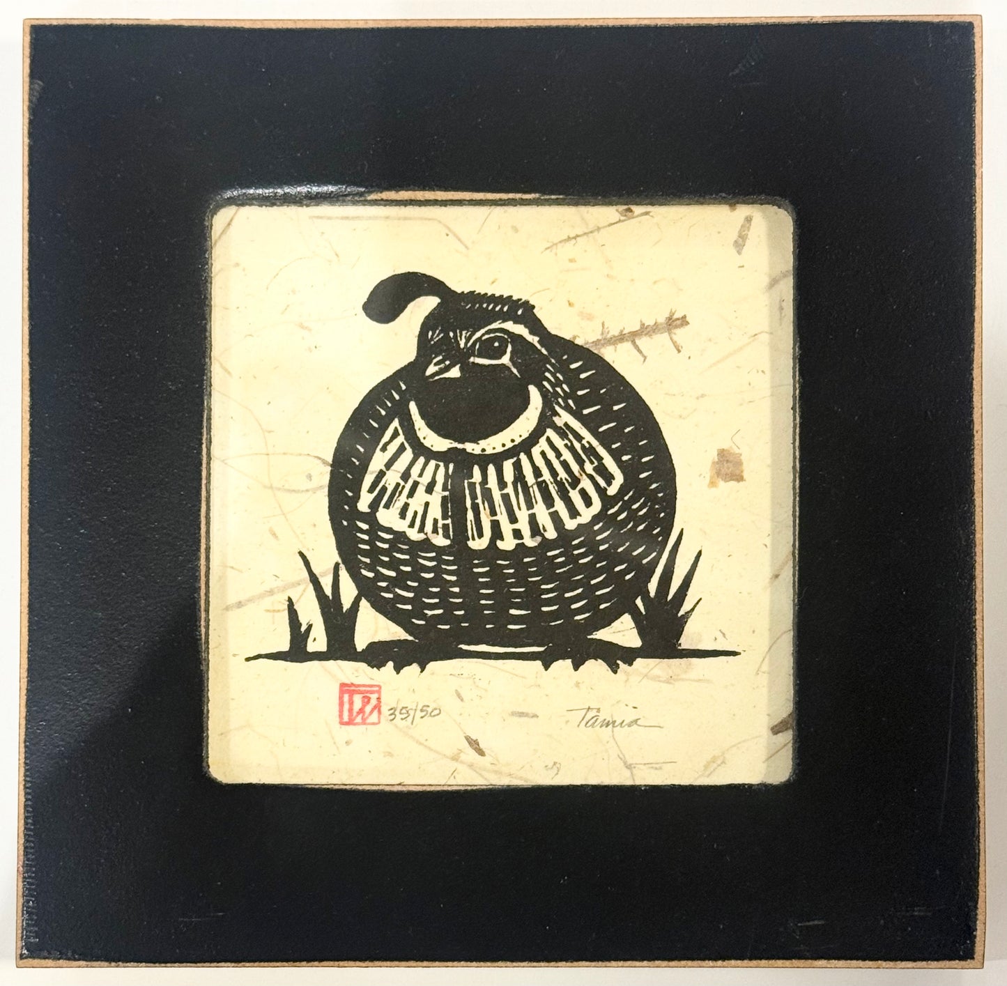 Female Quail 3
