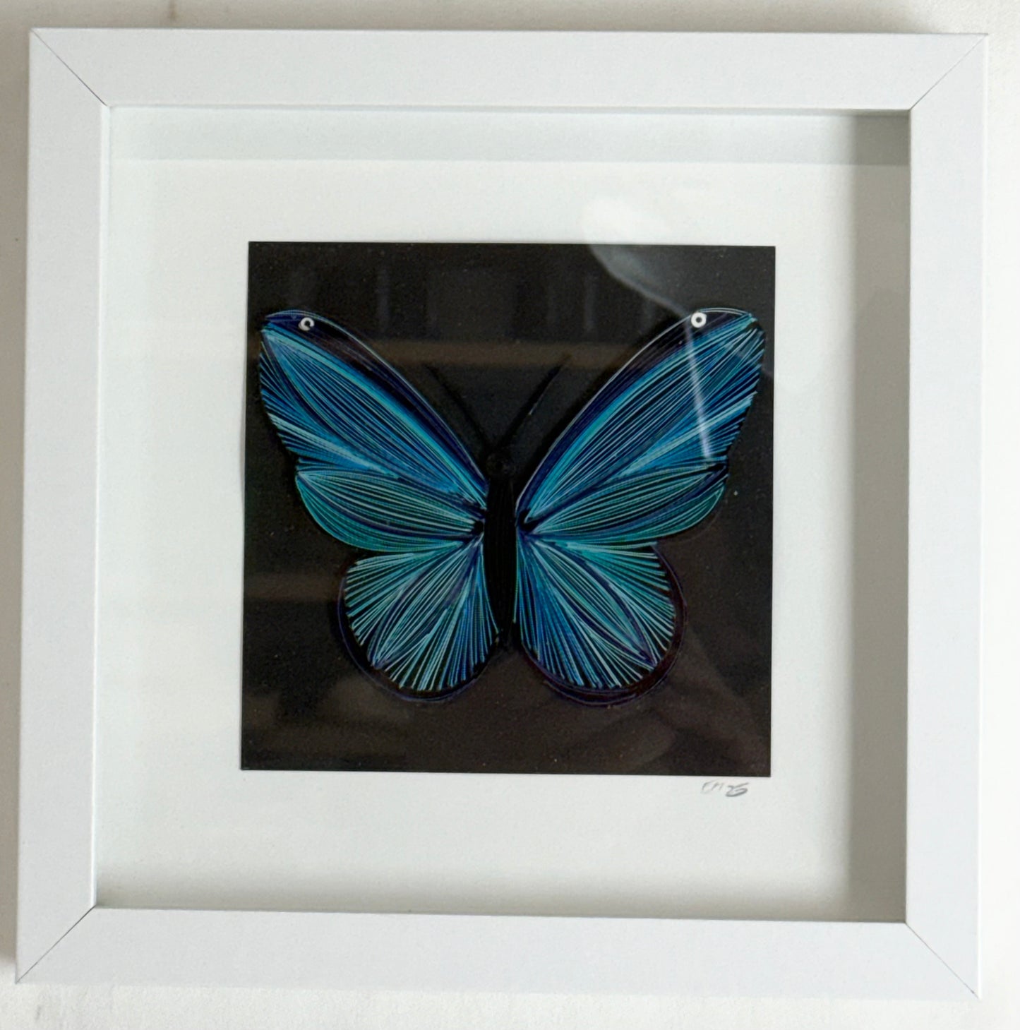Blue Butterfly