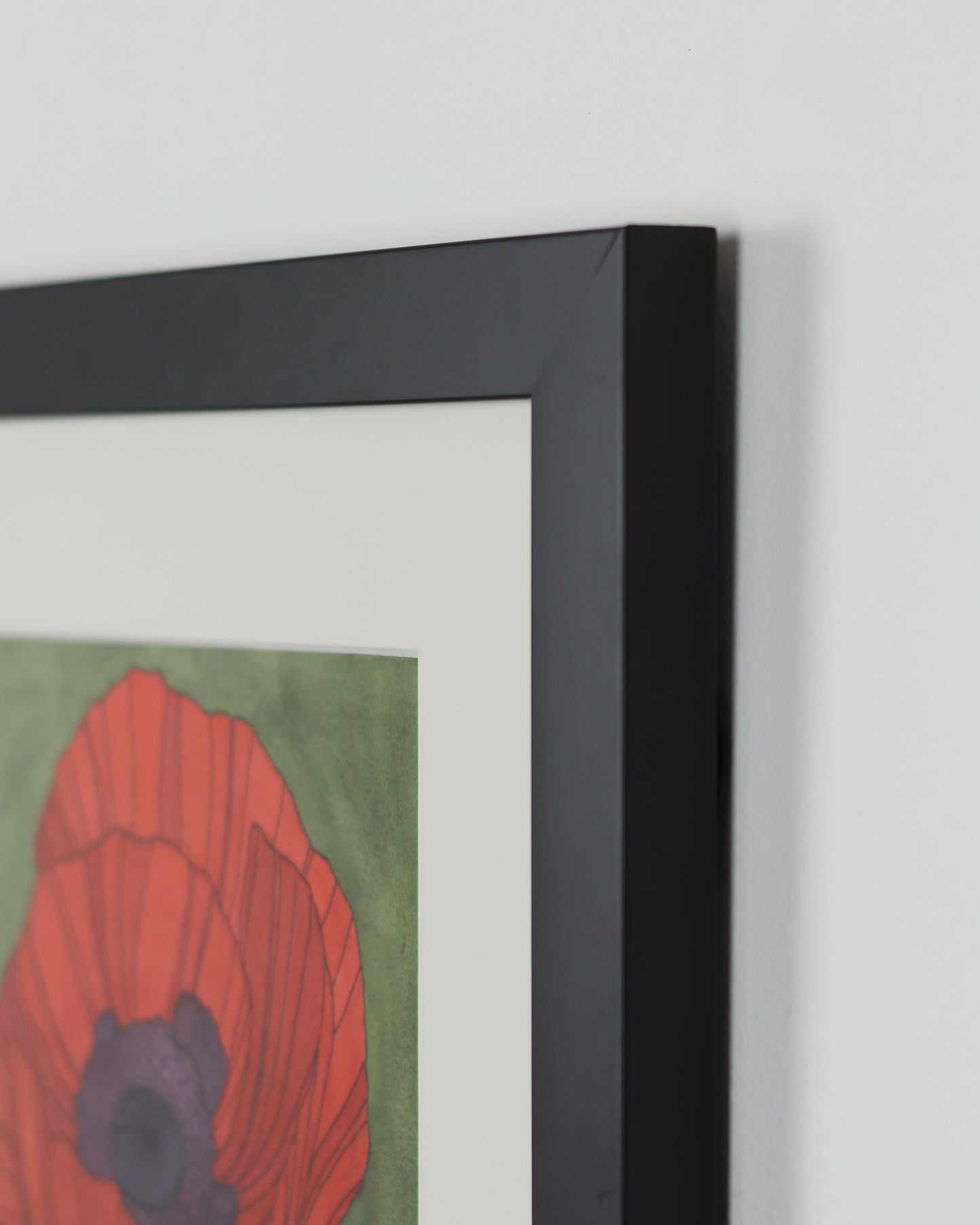 Poppy 6