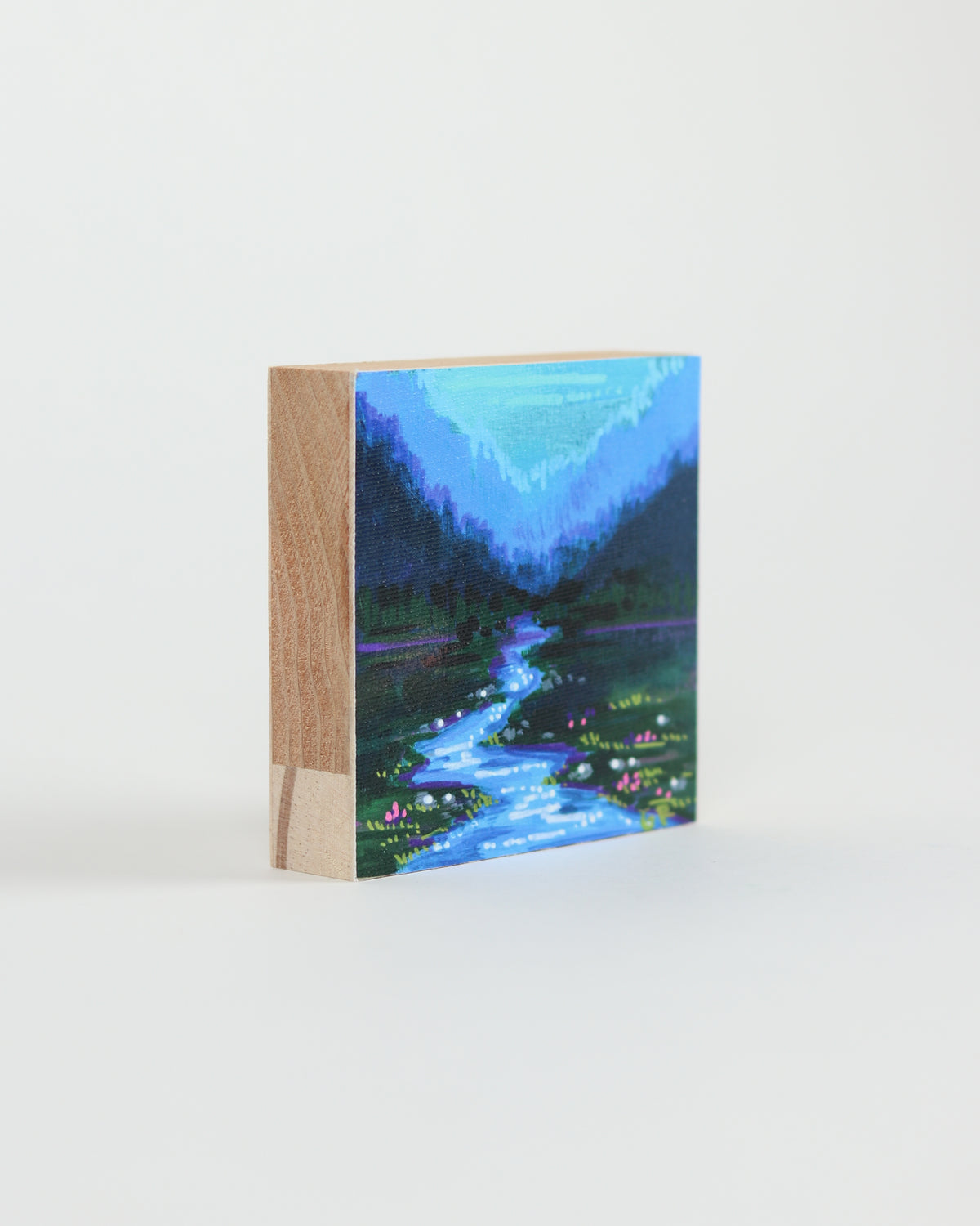 Canvas Print 13