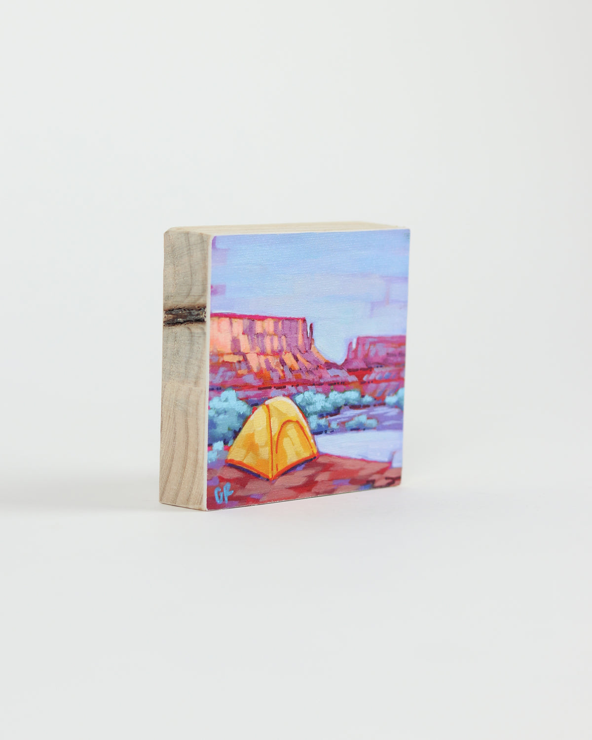 Canvas Print 16