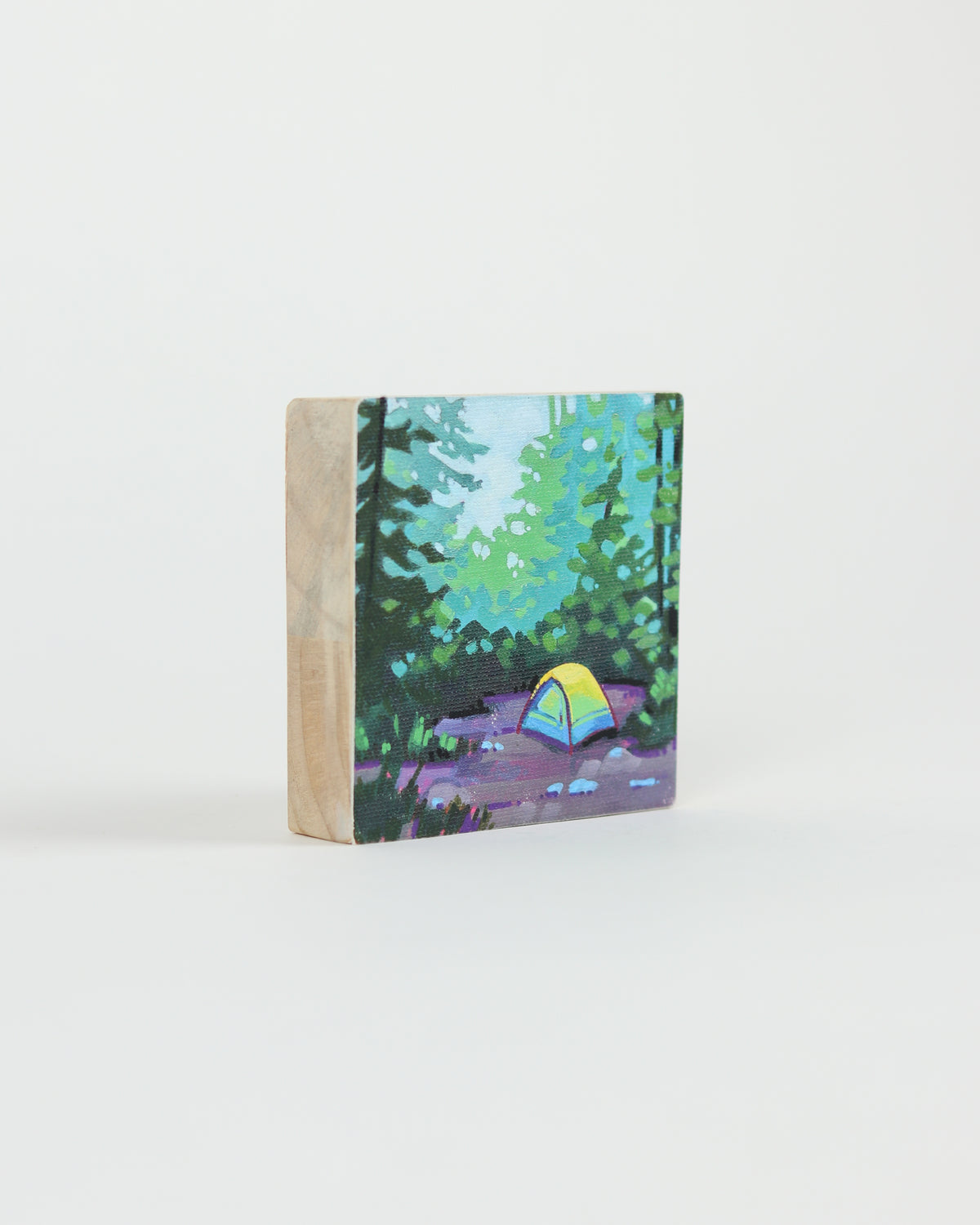 Canvas Print 14
