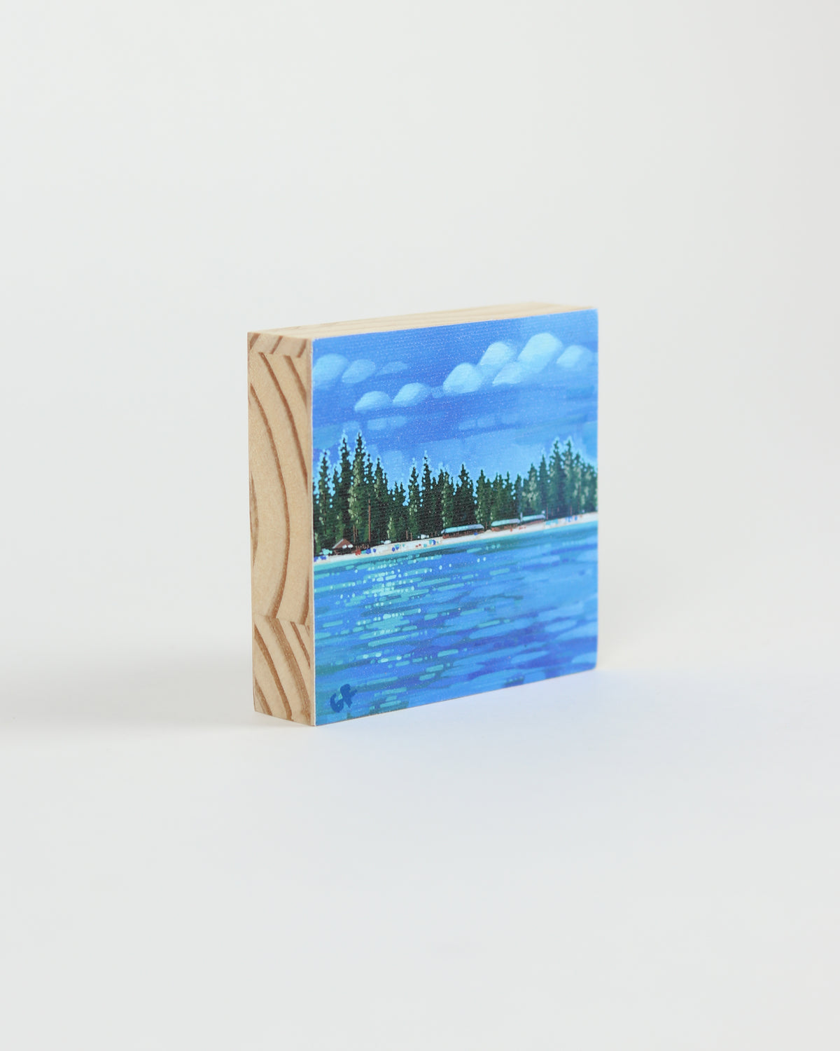 Canvas Print 7
