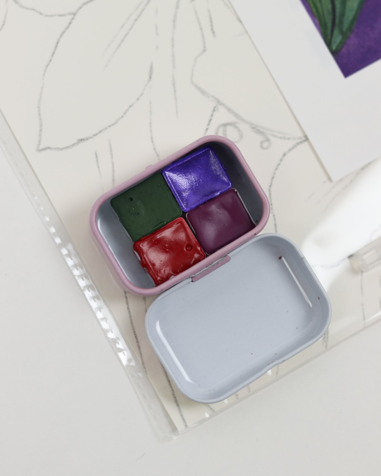 Clematis Watercolor Kit