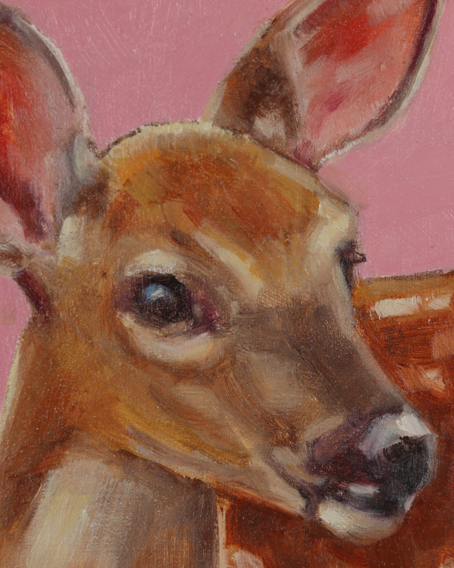 Oh Deer