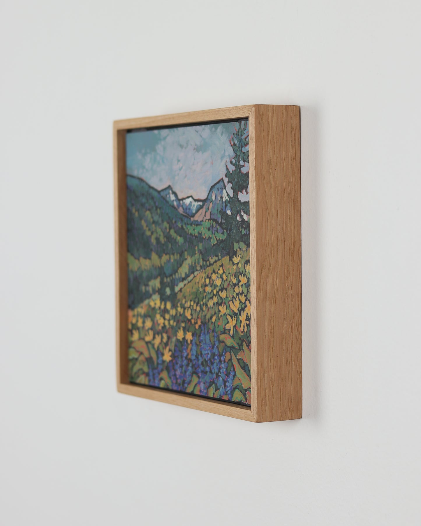 Lupine and Balsamroot