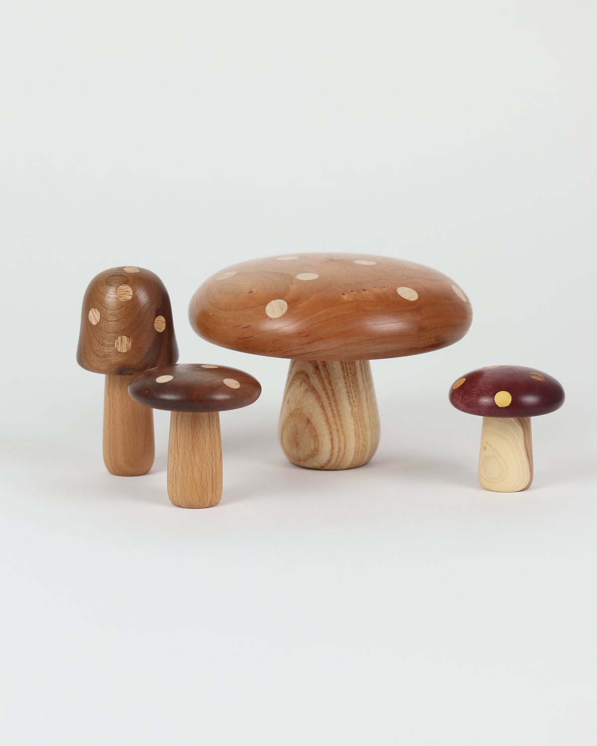 Polka Dot Wood Mushroom 4