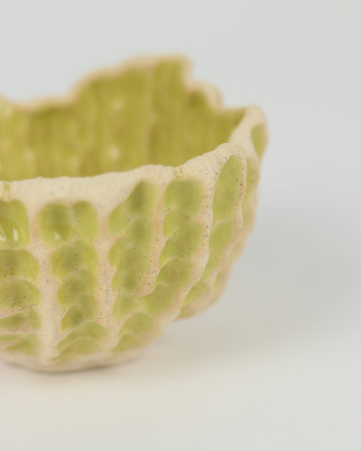 Medium Planter in Lime