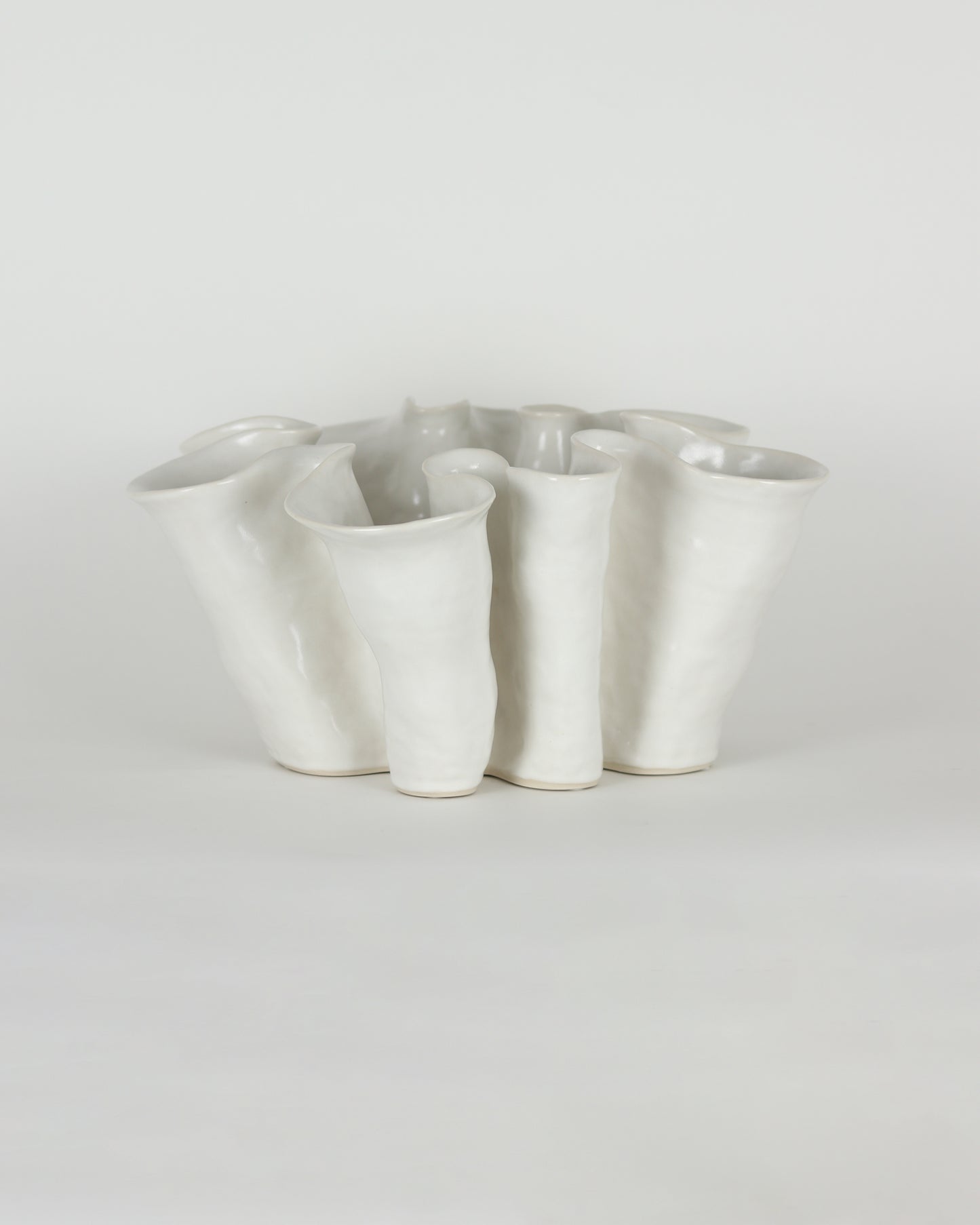 7 Leaf-Large Vessel Series 2