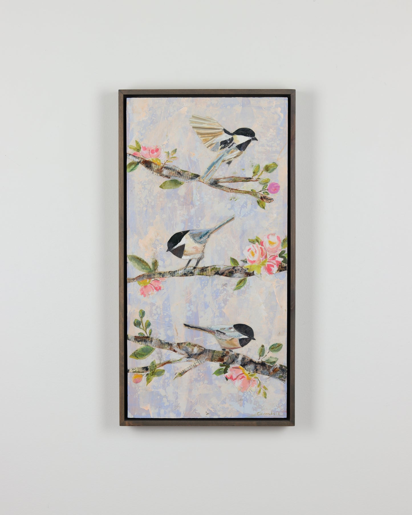 Chickadee's In Sping