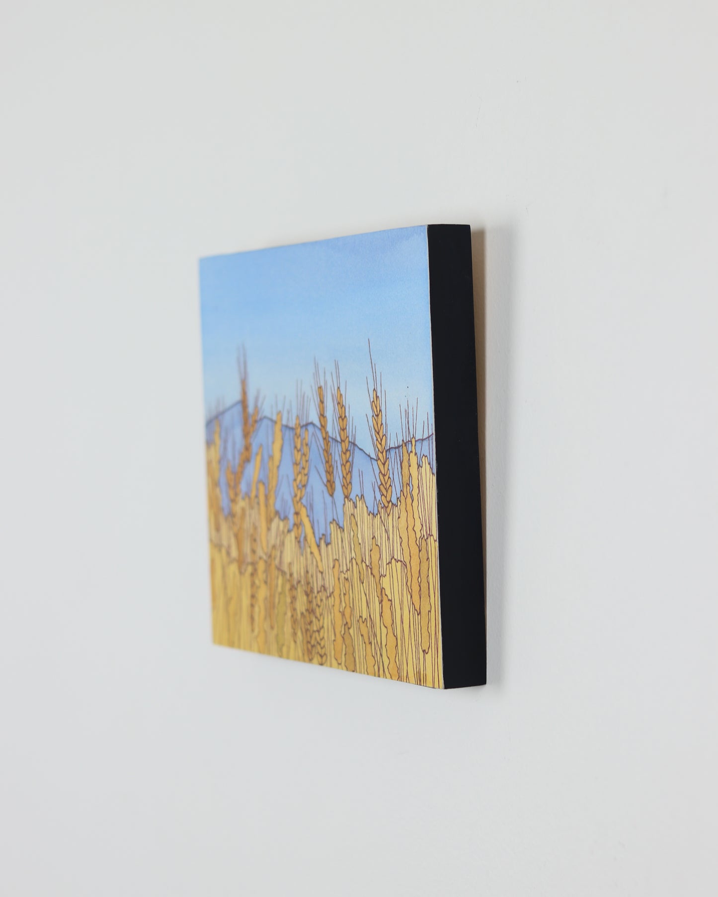 Amber Waves of Grain