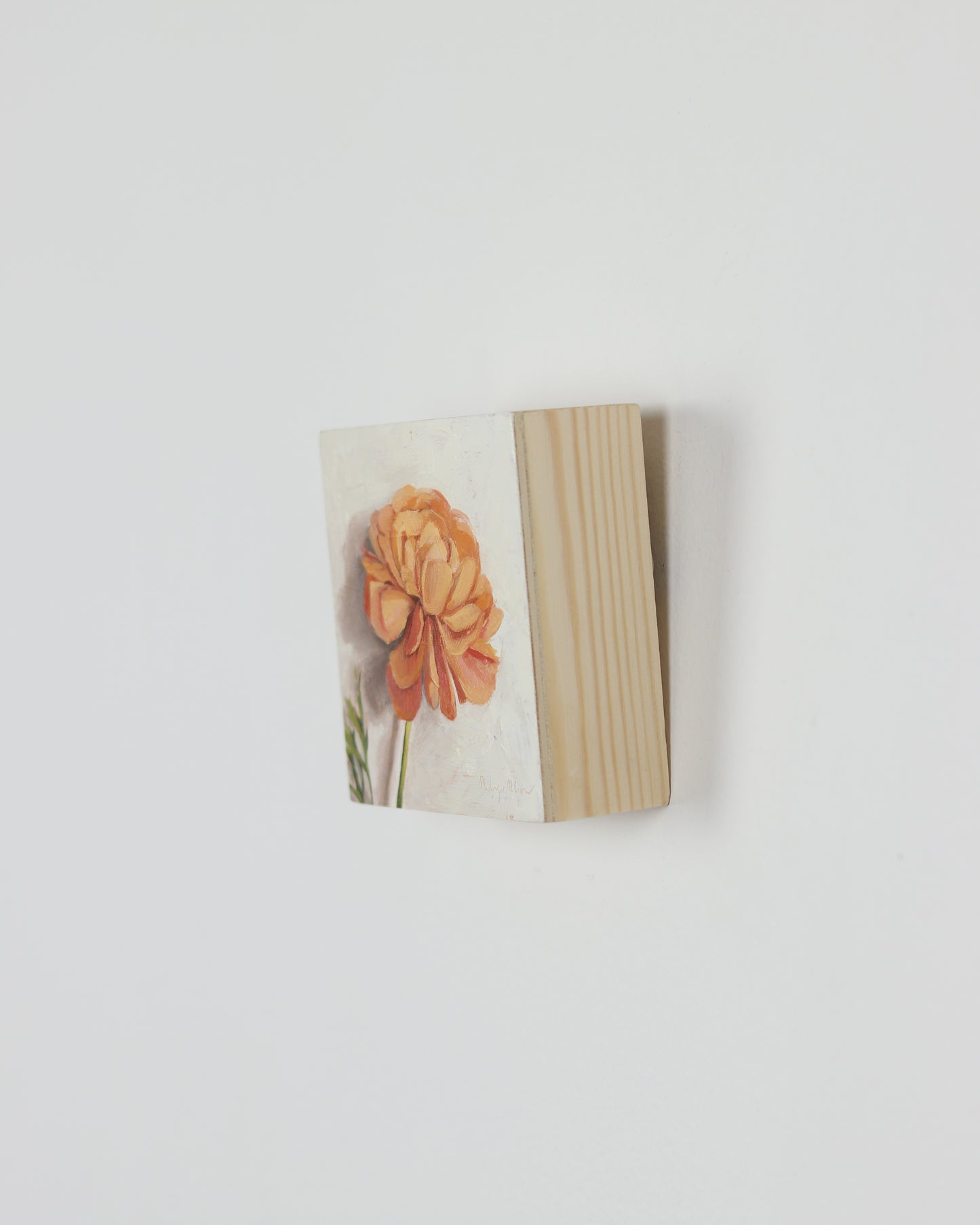 Peaceful Petals
