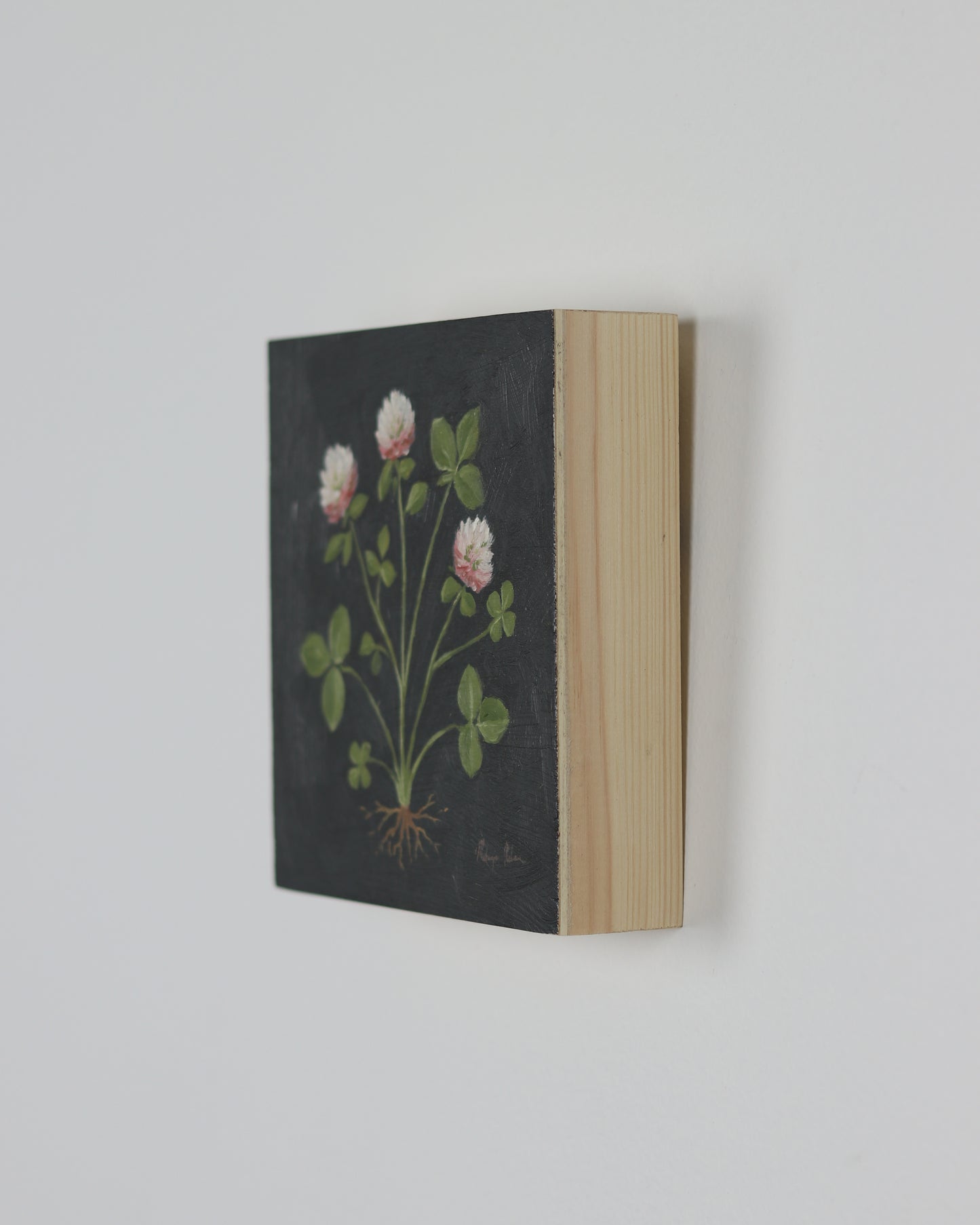 Vintage Clover