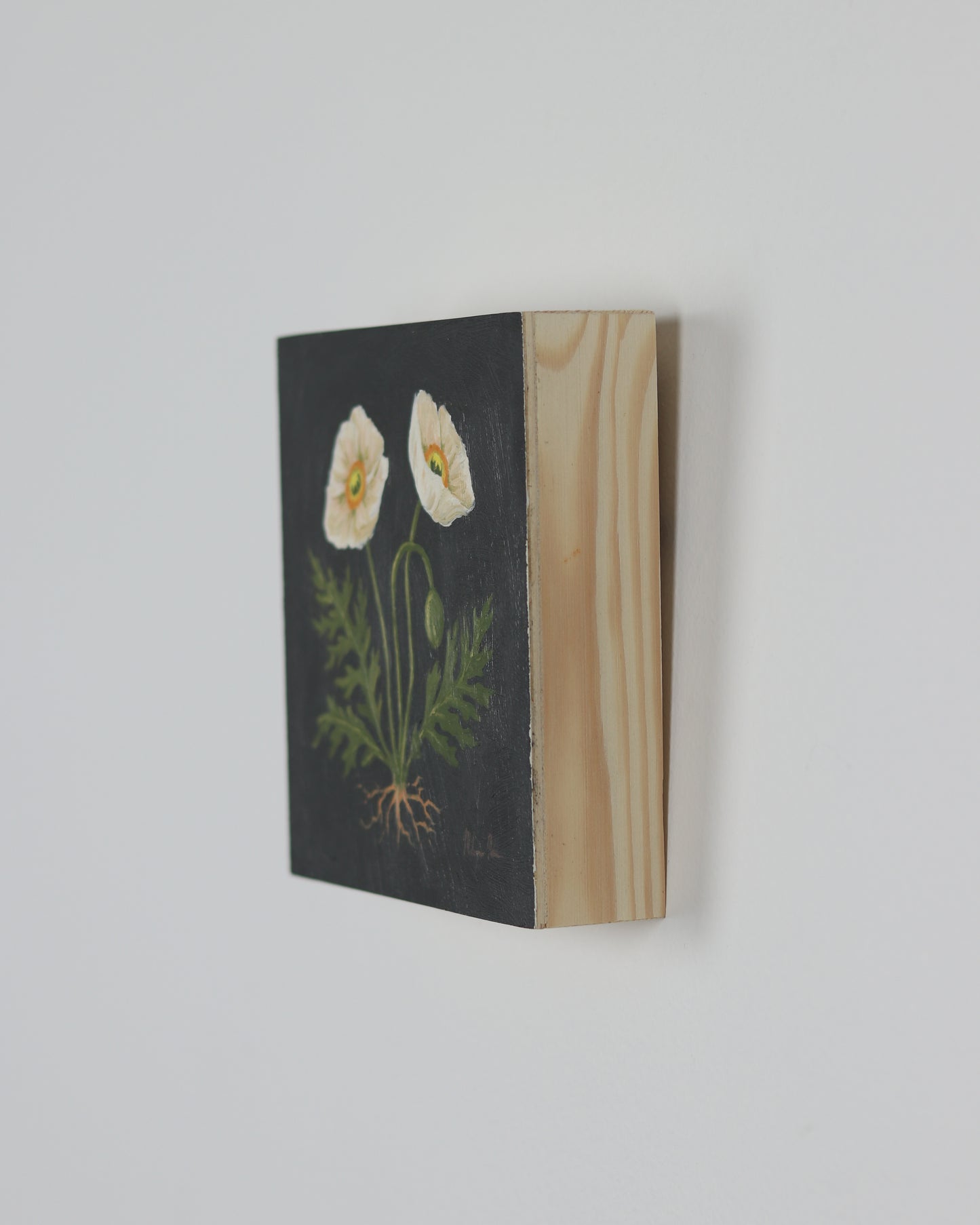 Vintage White Poppies