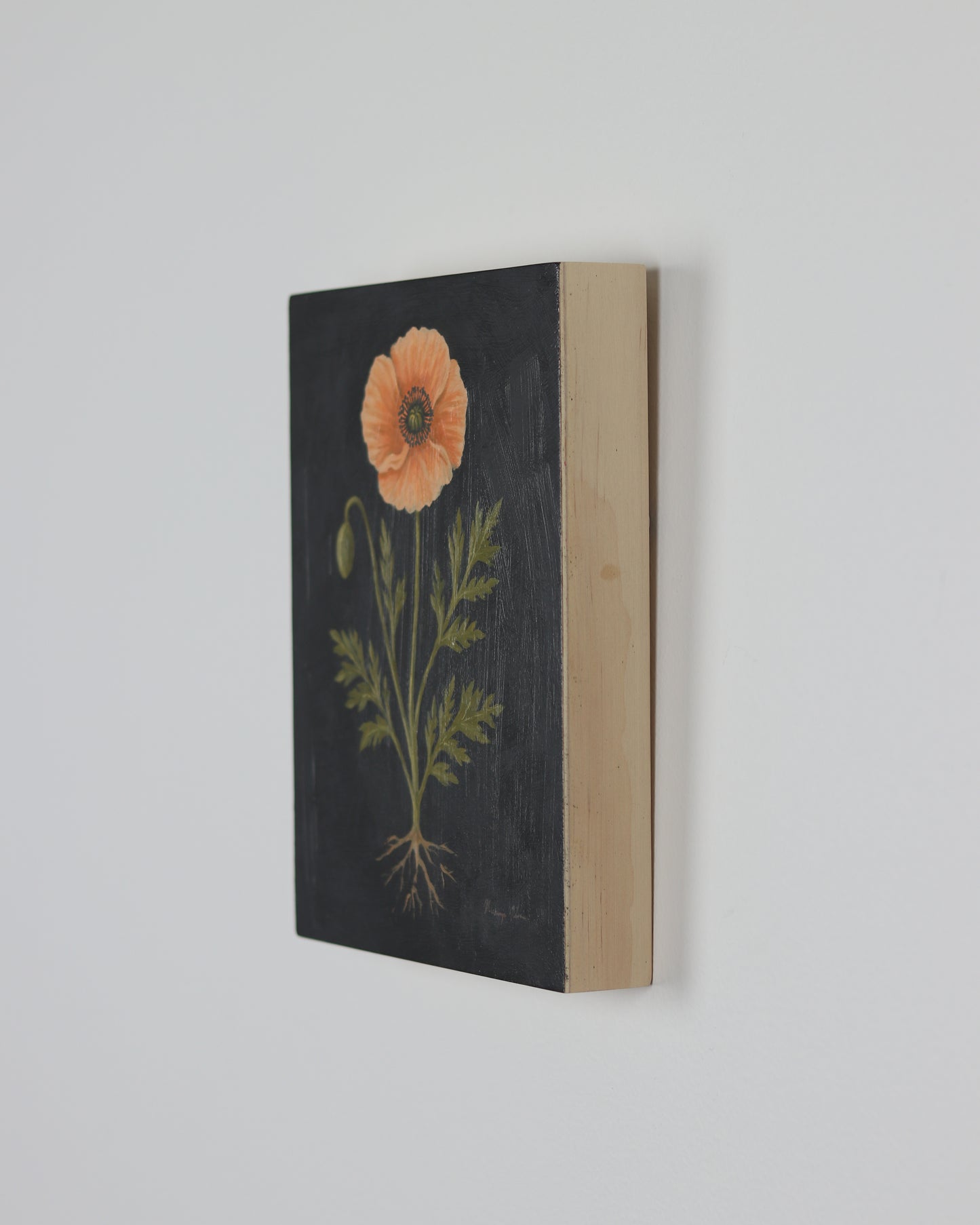 Vintage Icelandic Poppy