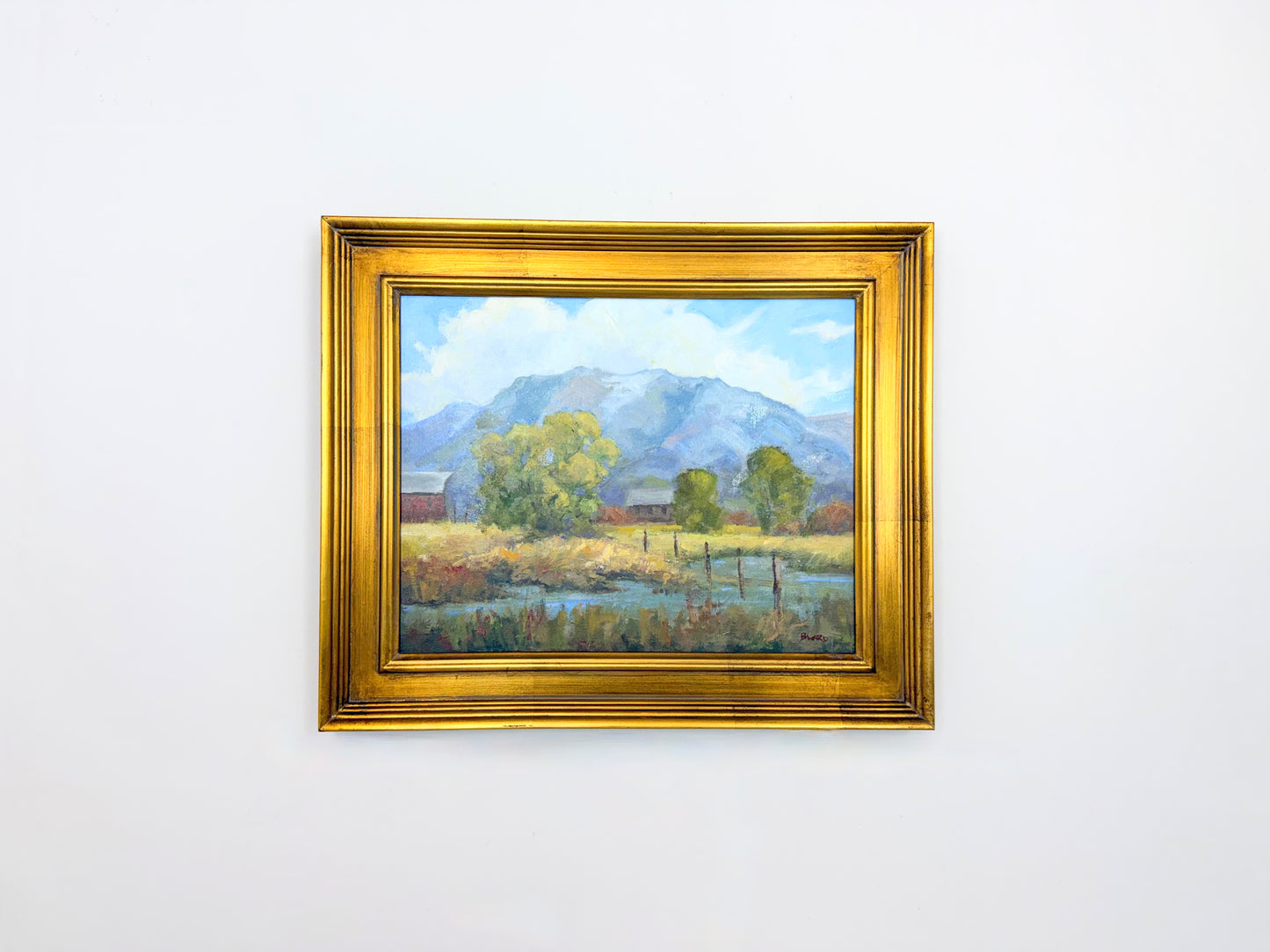 Our Vanishing Landscape