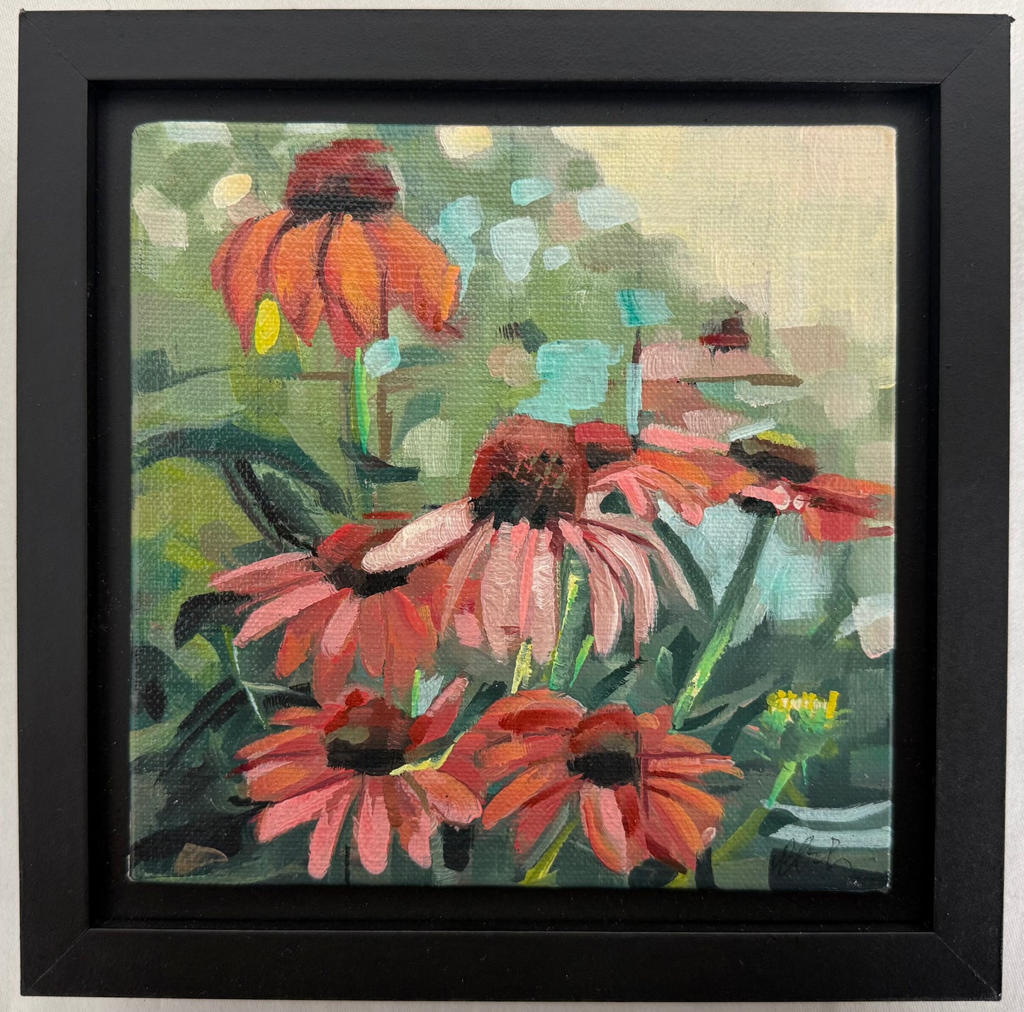 Coneflowers