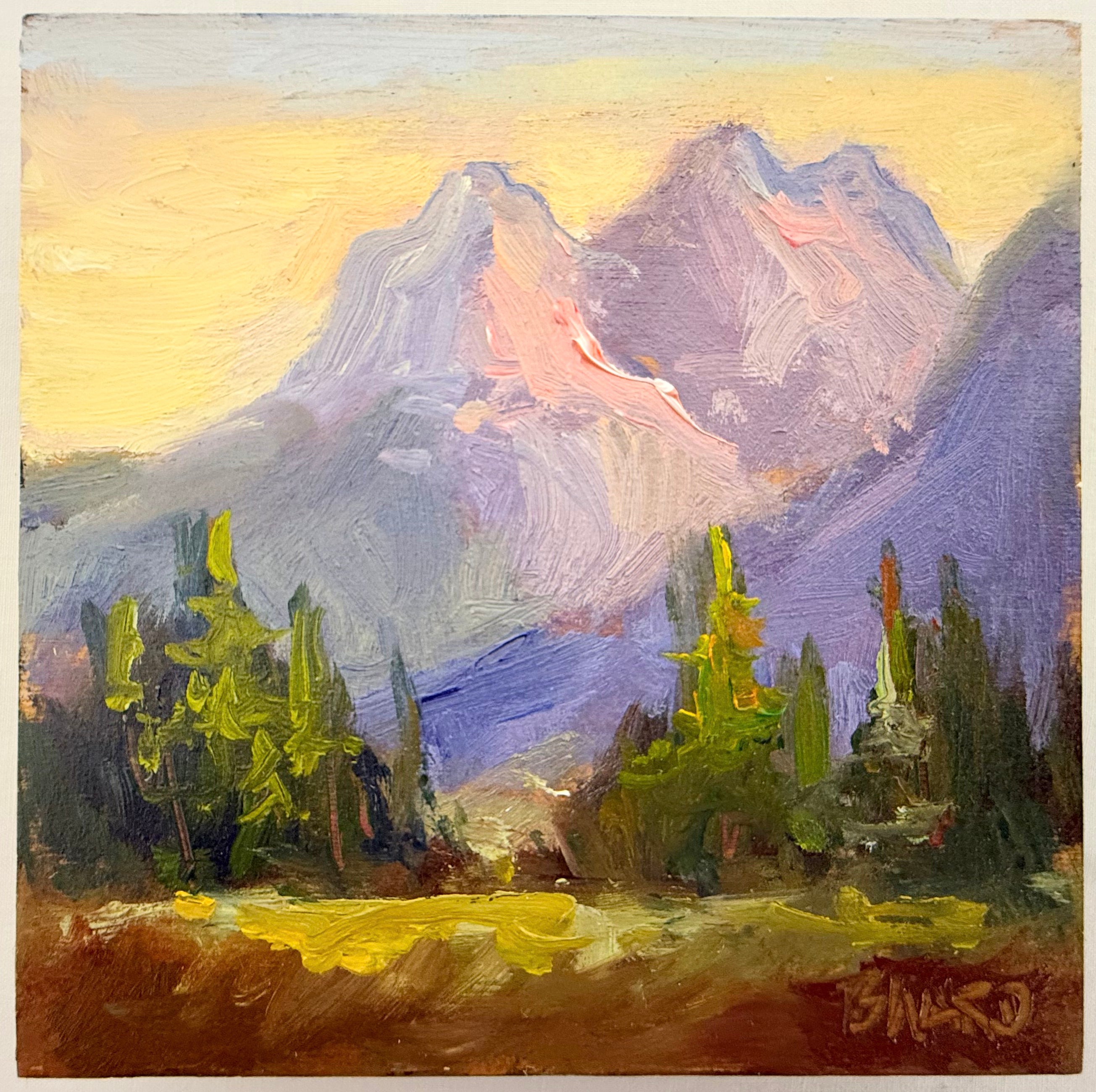 Teton Sunset – Four Lemons