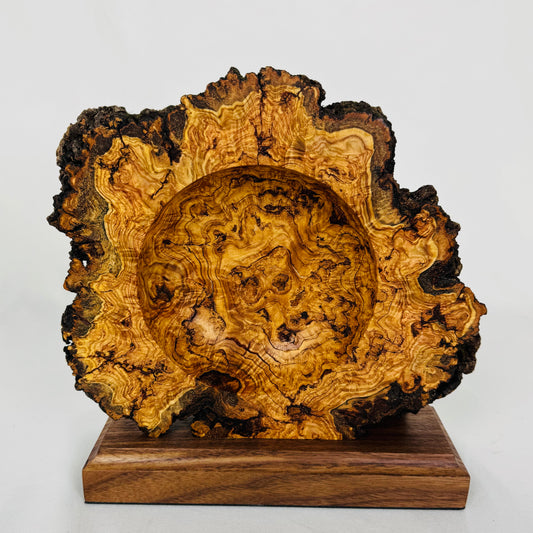 Aspen Burl Bowl