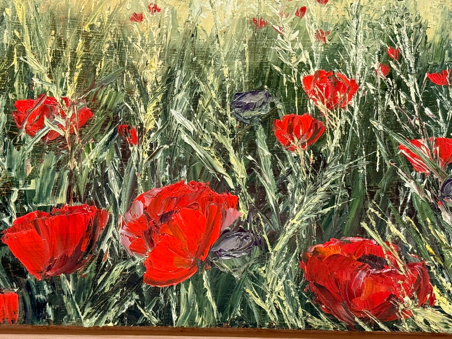 Golden Light Poppies