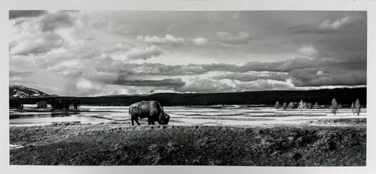 Unframed Photography Prints