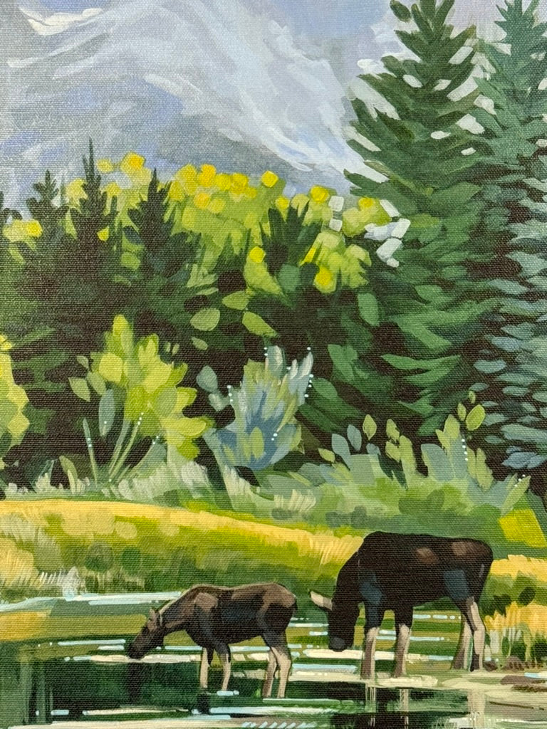 Tranquil Moments