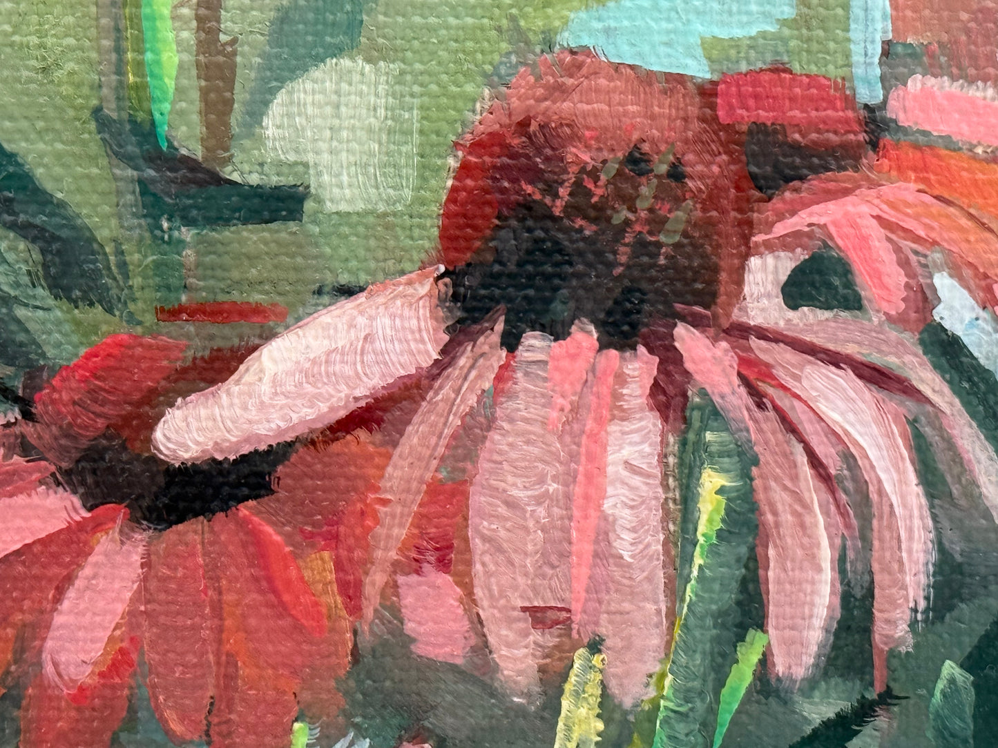 Coneflowers