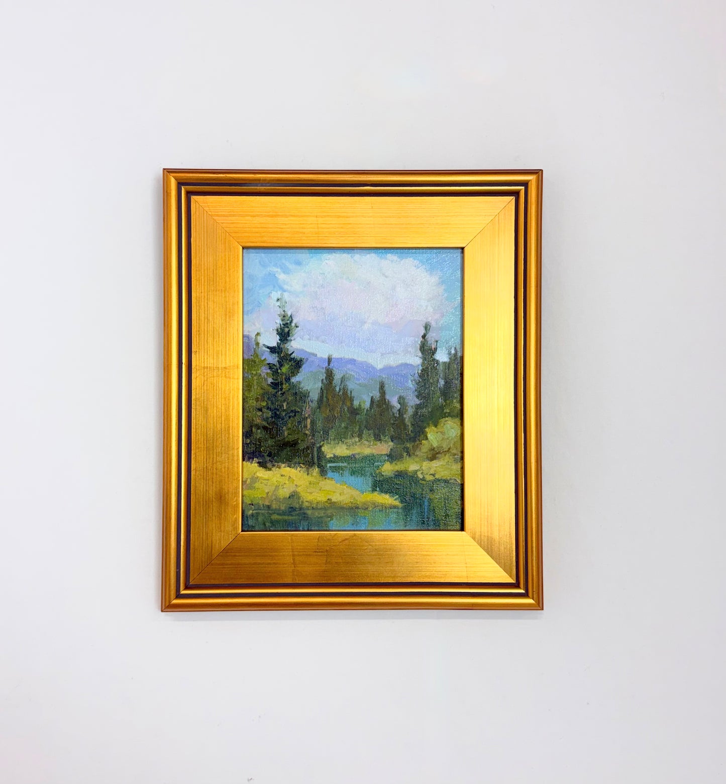 Up North Glacier Montana