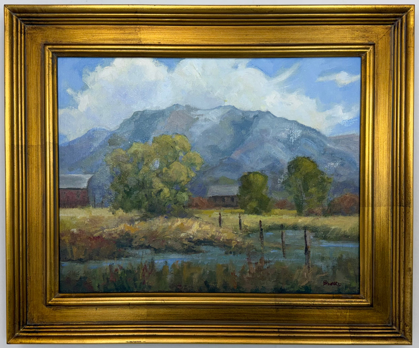 Our Vanishing Landscape