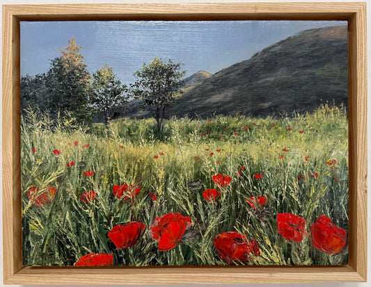 Golden Light Poppies