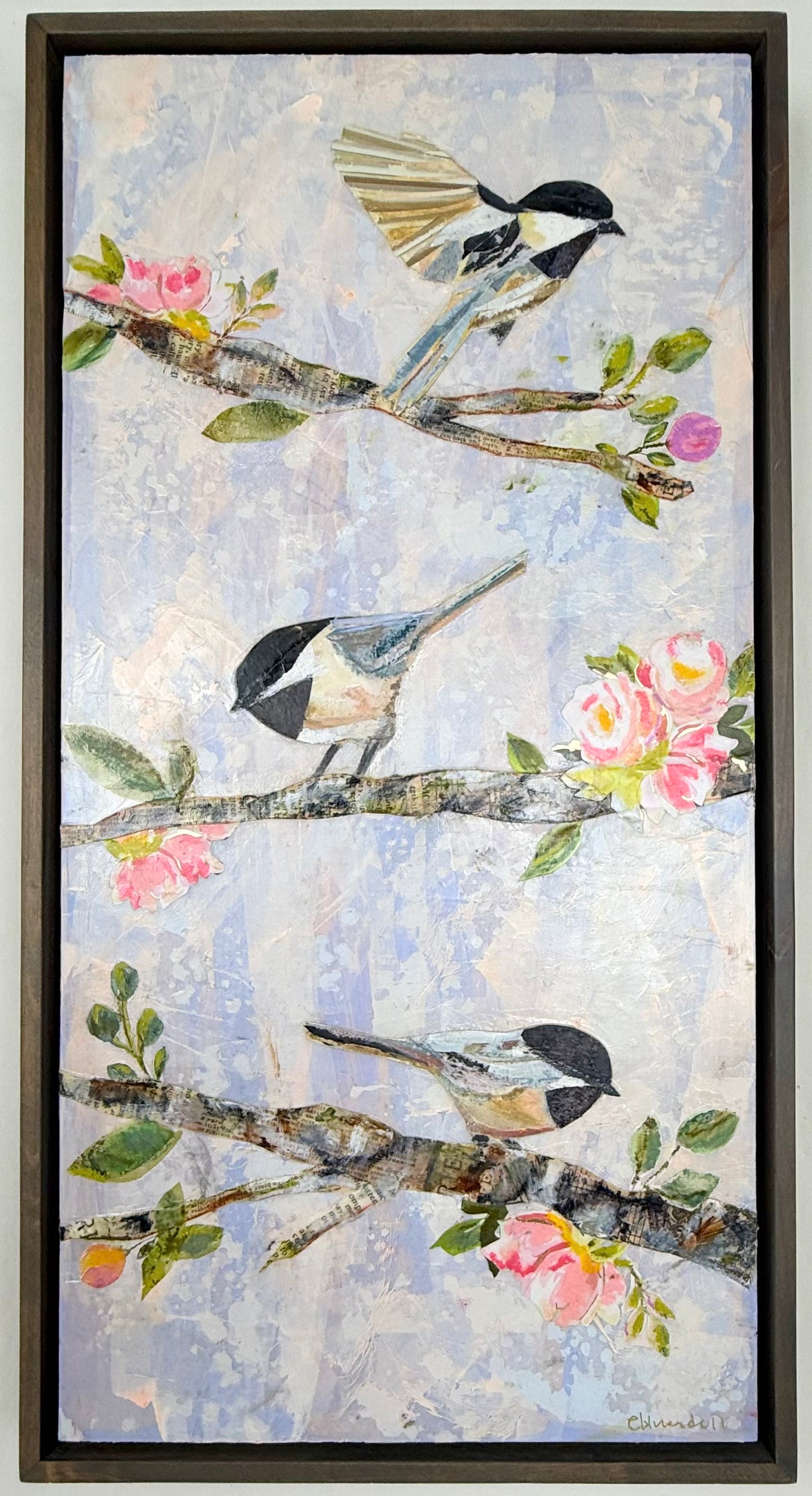 Chickadee's In Sping