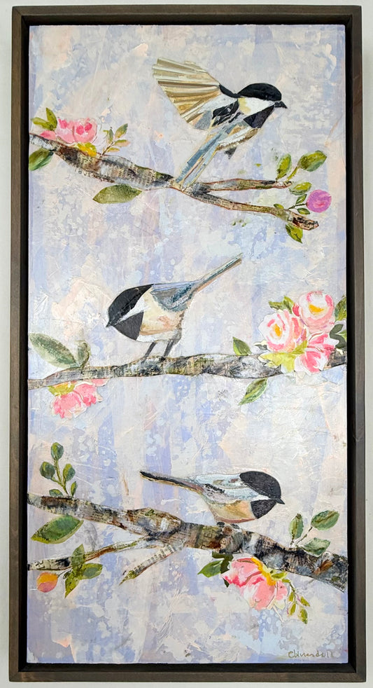 Chickadee's In Sping