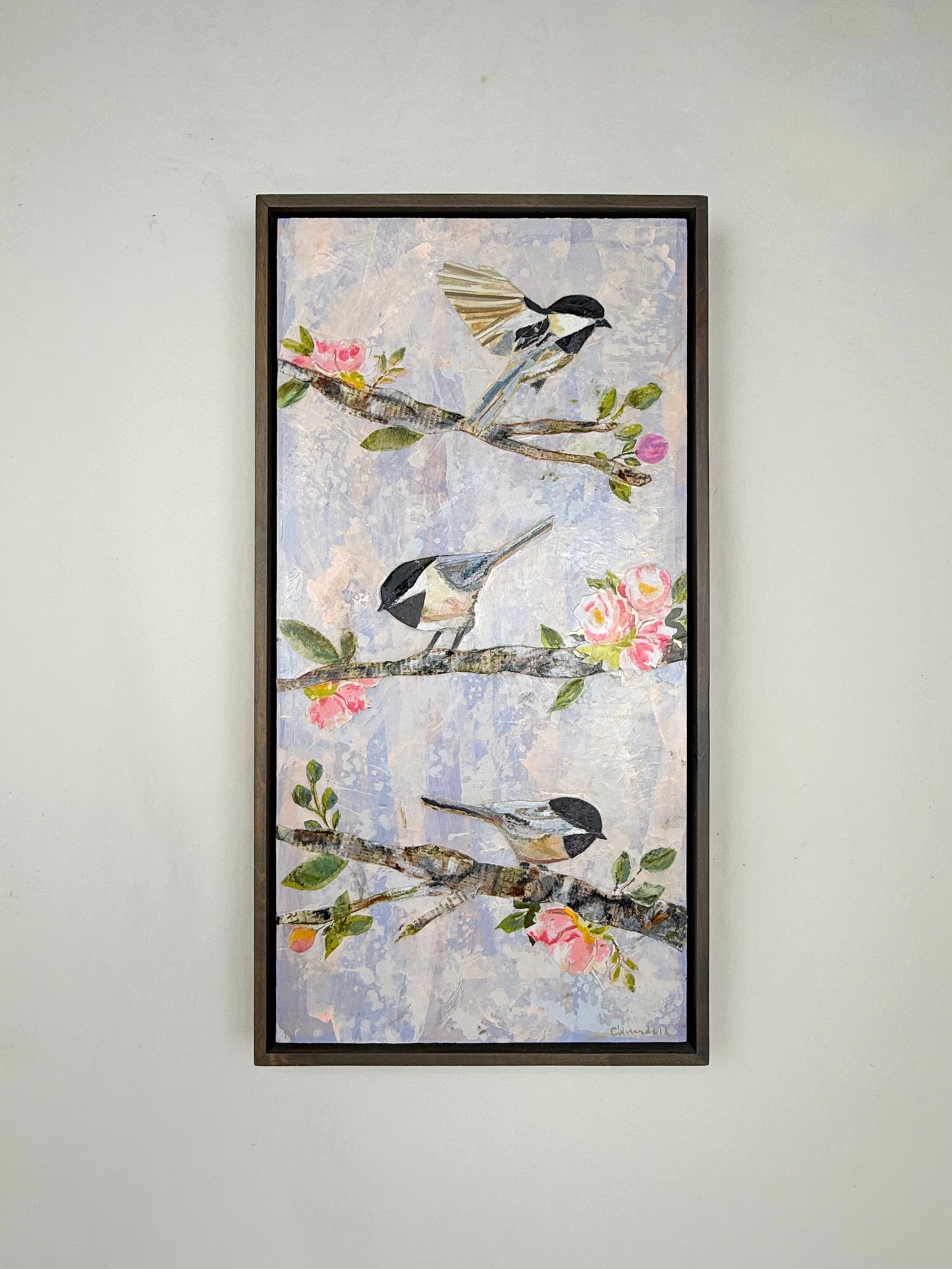 Chickadee's In Sping