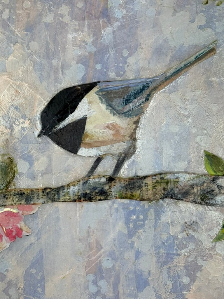 Chickadee's In Sping