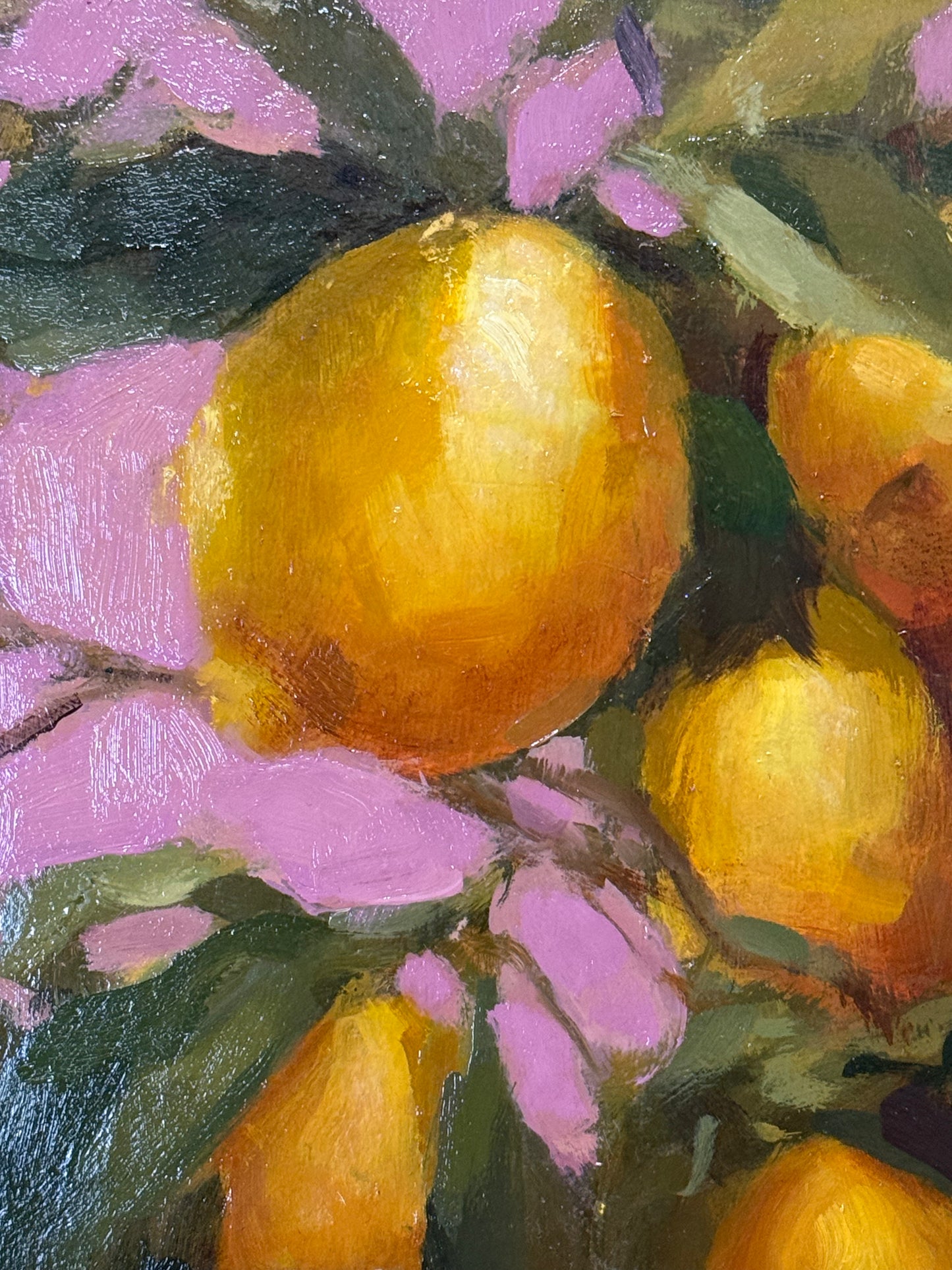 Citrus Bloom