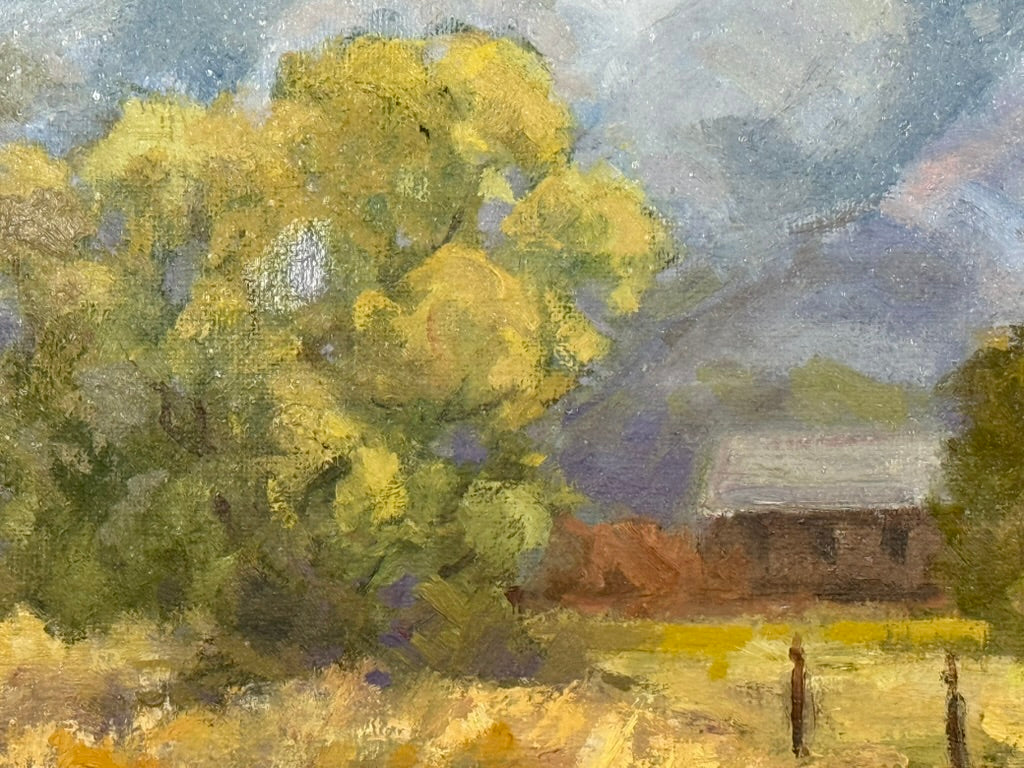 Our Vanishing Landscape