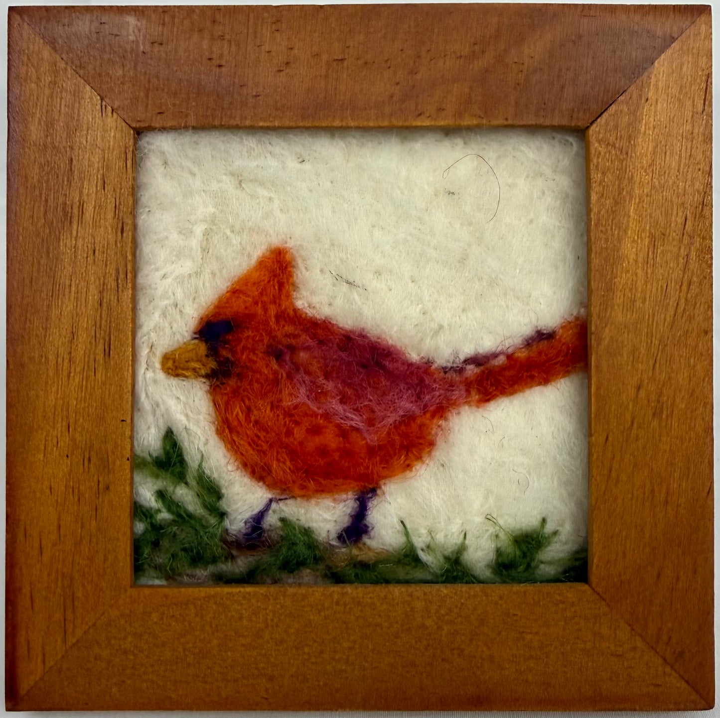 Wiinter Cardinal 1