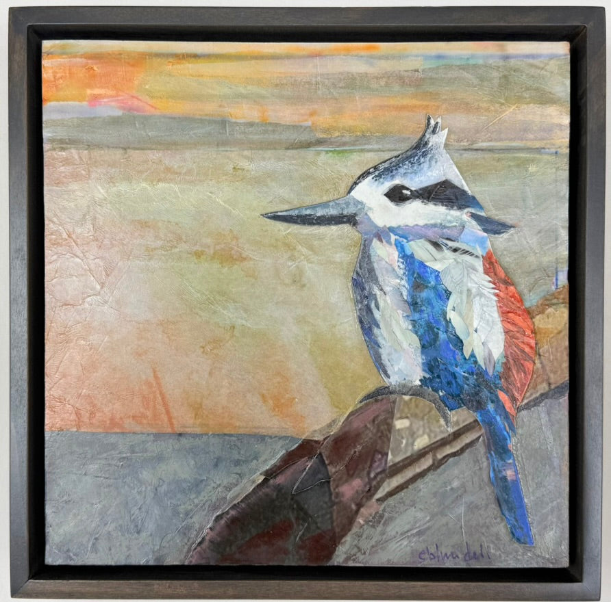 Red-Backed Kingfisher