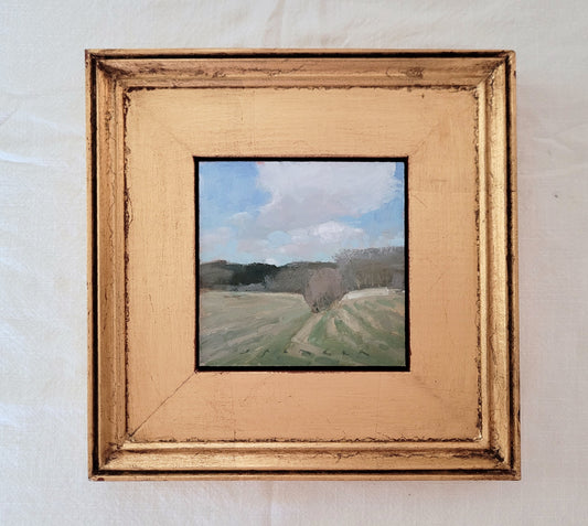 Early Spring in Rehoboth