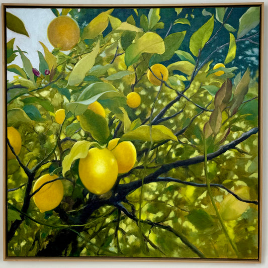 Meyer Lemons