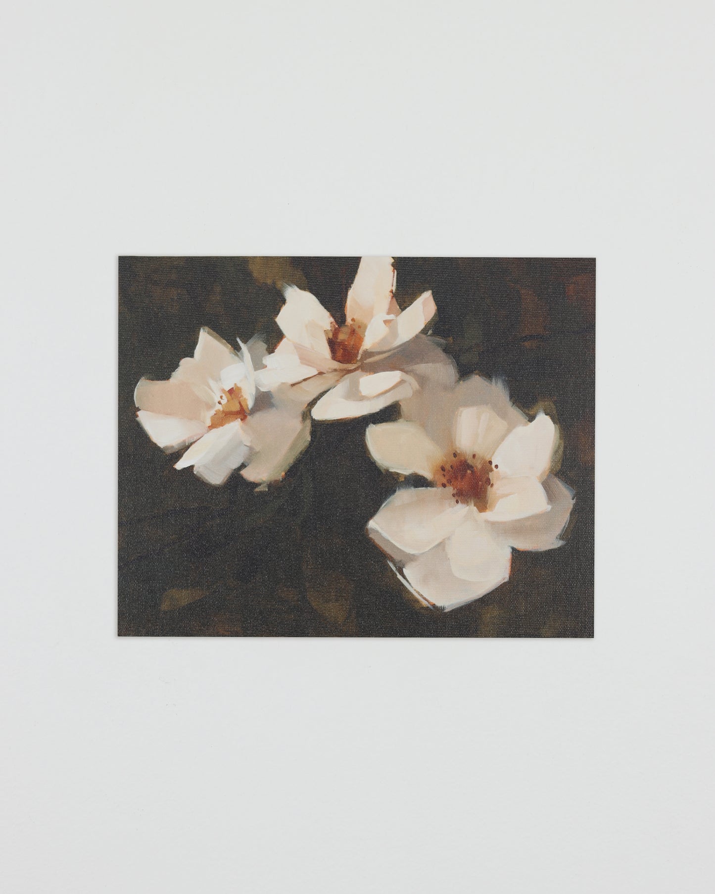 White Blossom Print