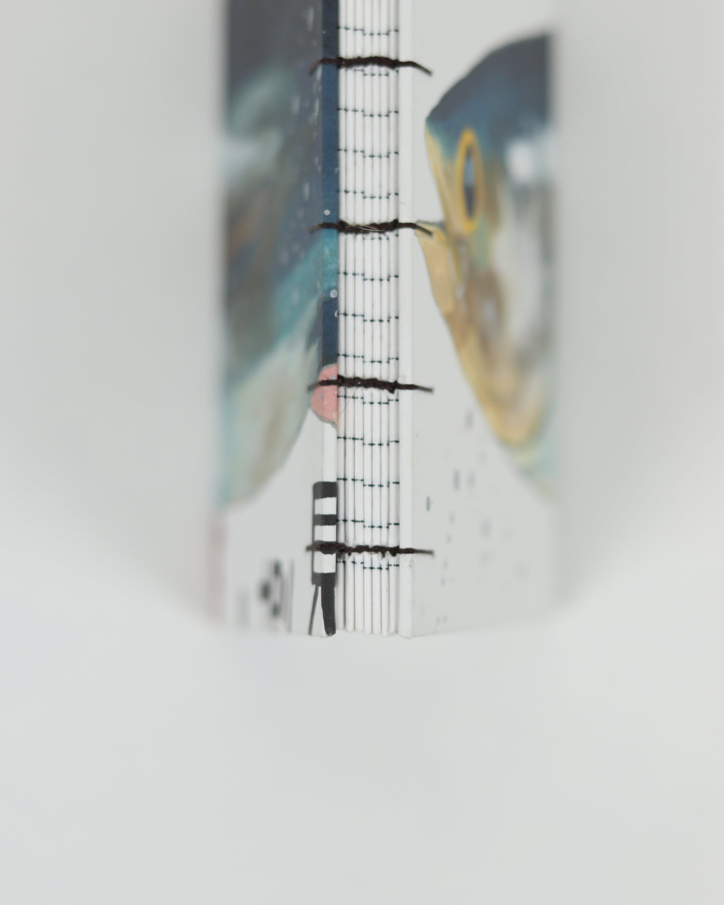 Hajime Okamoto Fish Print Paper Book